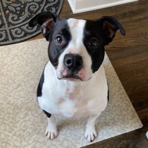 Meet your Posher, Keyona